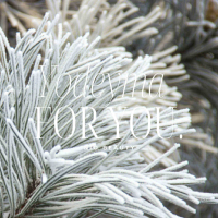 For You Damesparfum Yodeyma 50 Ml 